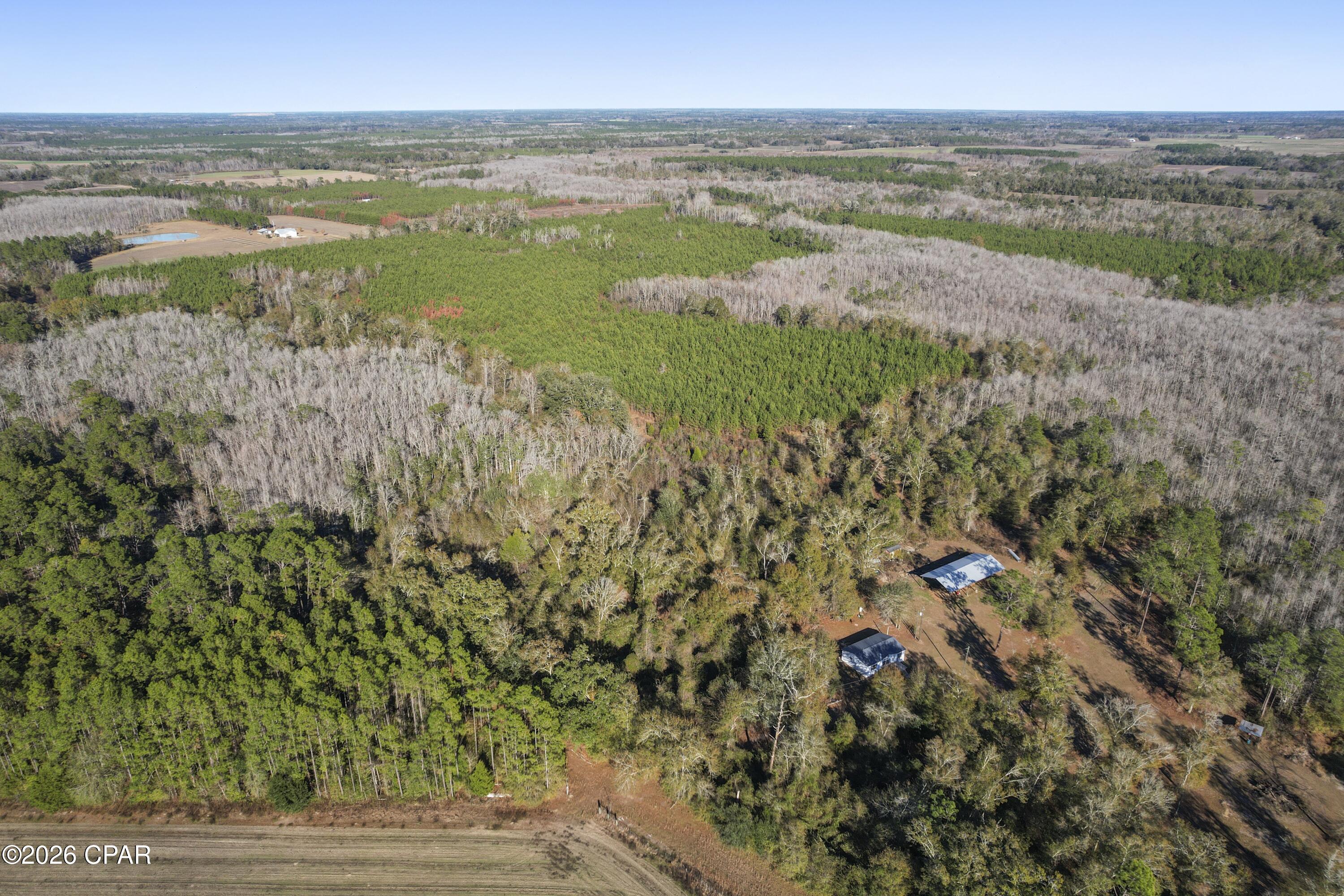 0 New Prospect Road Chipley, FL 32428 - Photo 9 of 19