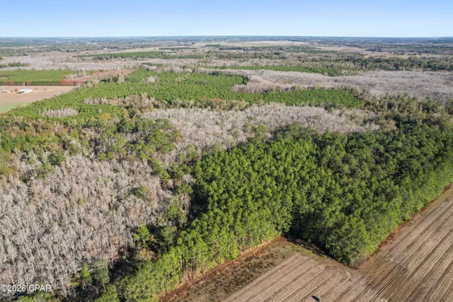 $294,500 | 0 New Prospect Road, Chipley, FL 32428