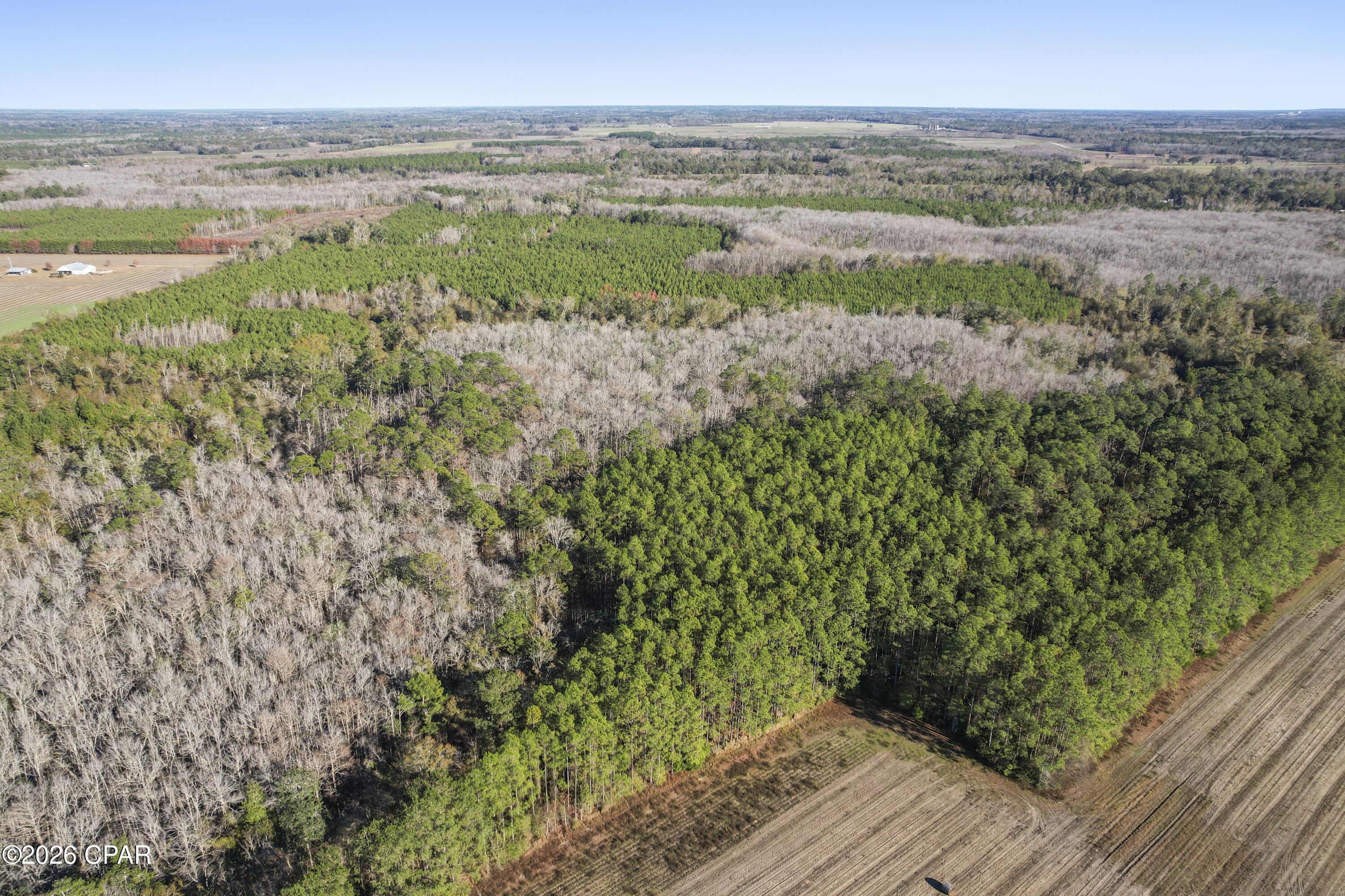 0 New Prospect Road Chipley, FL 32428 - Photo 10 of 19