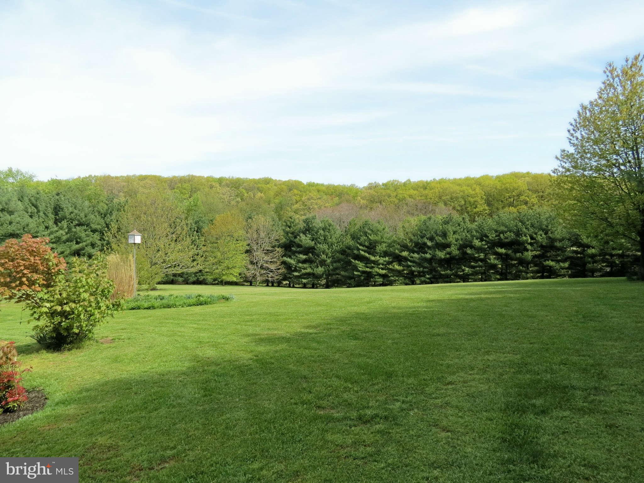 2353 Braddock Road Mount Airy, MD 21771 - Photo 29 of 30 Rear Yard Beyond Pool
