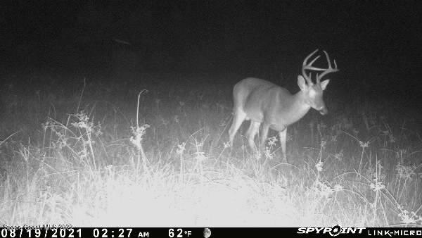 D D Johnson Mims, FL 32754 - Photo 5 of 25 IMG_1228