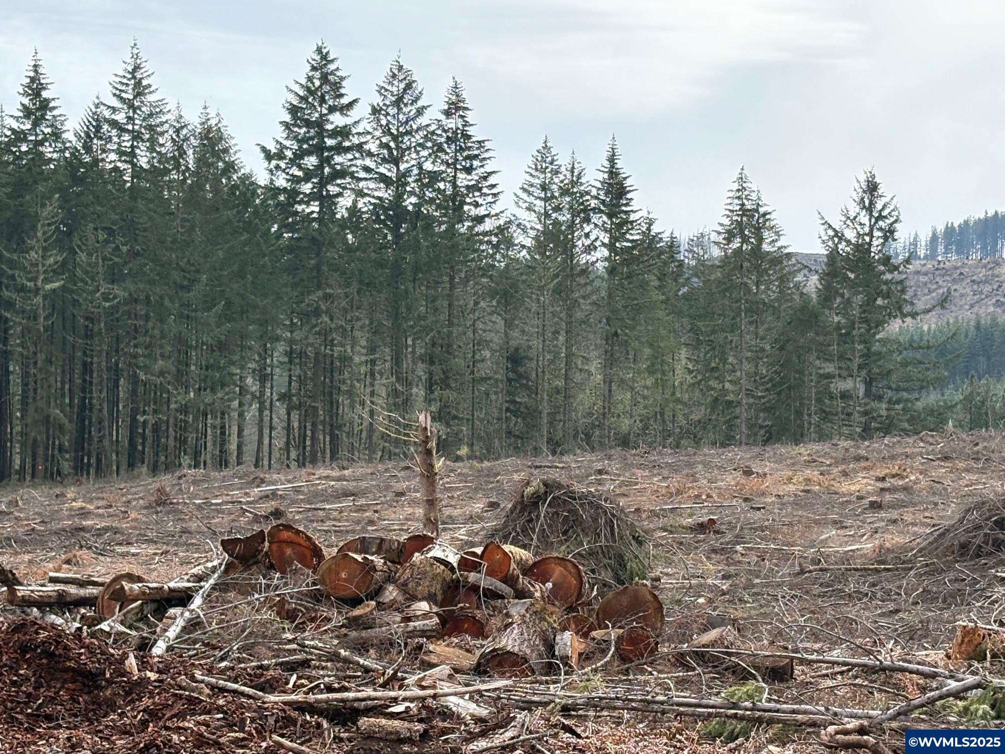 0 South Hardy Road Molalla, OR 97038 - Photo 14 of 26