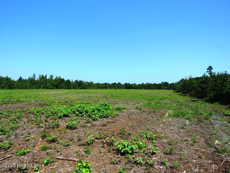 Tbd Alamac Road Lumberton, NC 28358 - Photo 14 of 16 IMG_8300