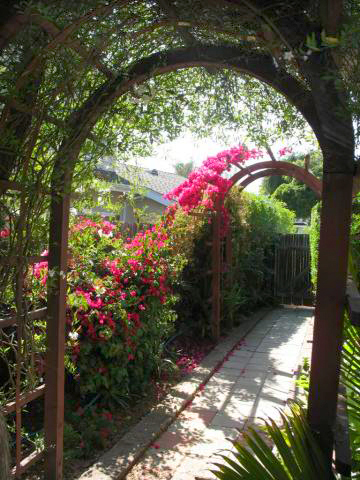 452 Wakefield Road Goleta, CA 93117 - Photo 8 of 9 Trellis