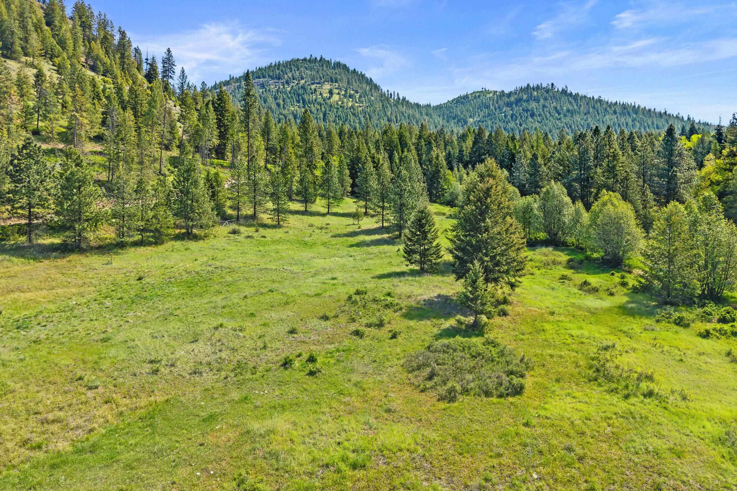 3114 Old Baldy Road Rice, WA 99167 - Photo 39 of 48