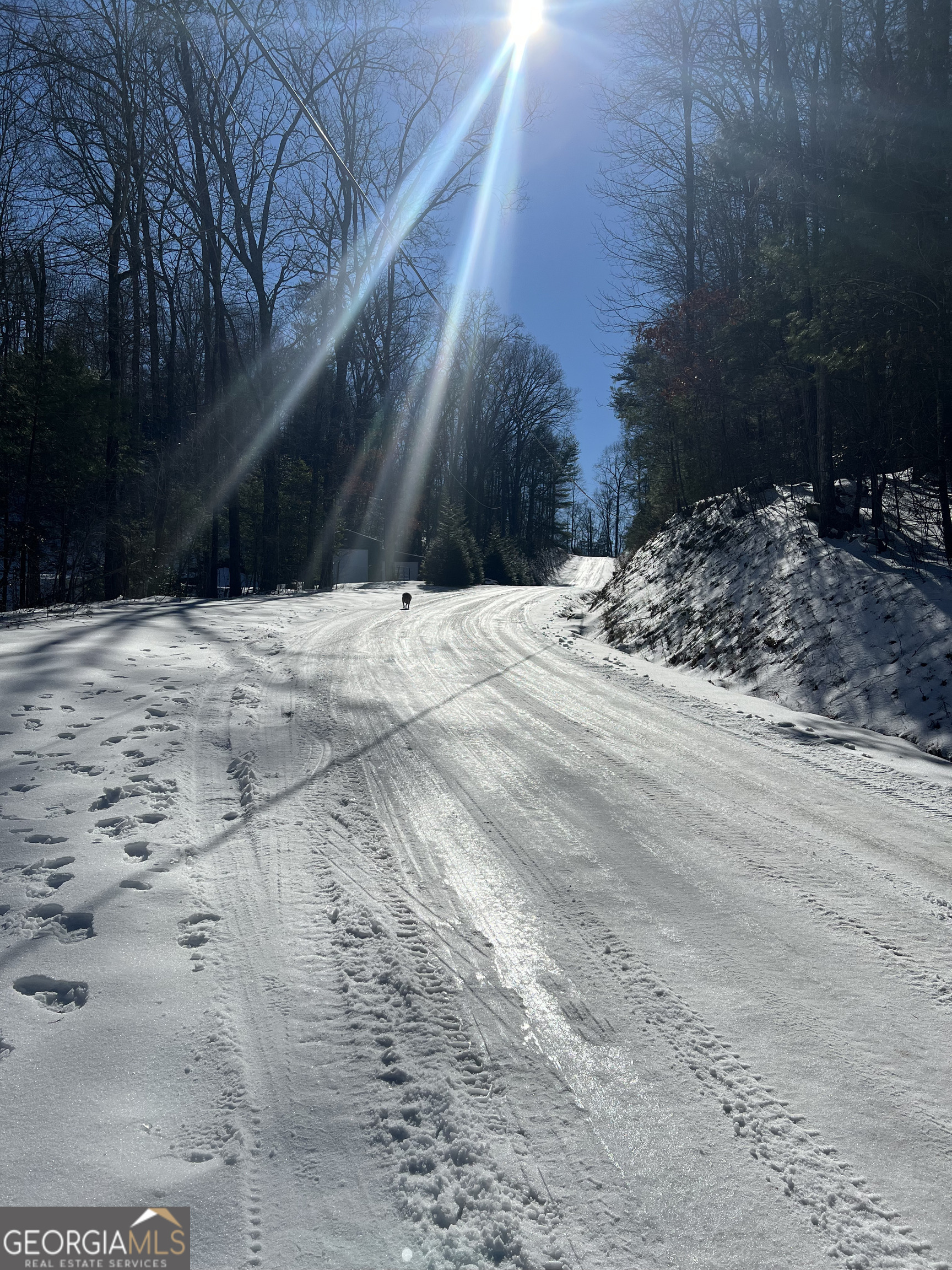 327 Polly Gap Road Clayton, GA 30525 - Photo 52 of 52