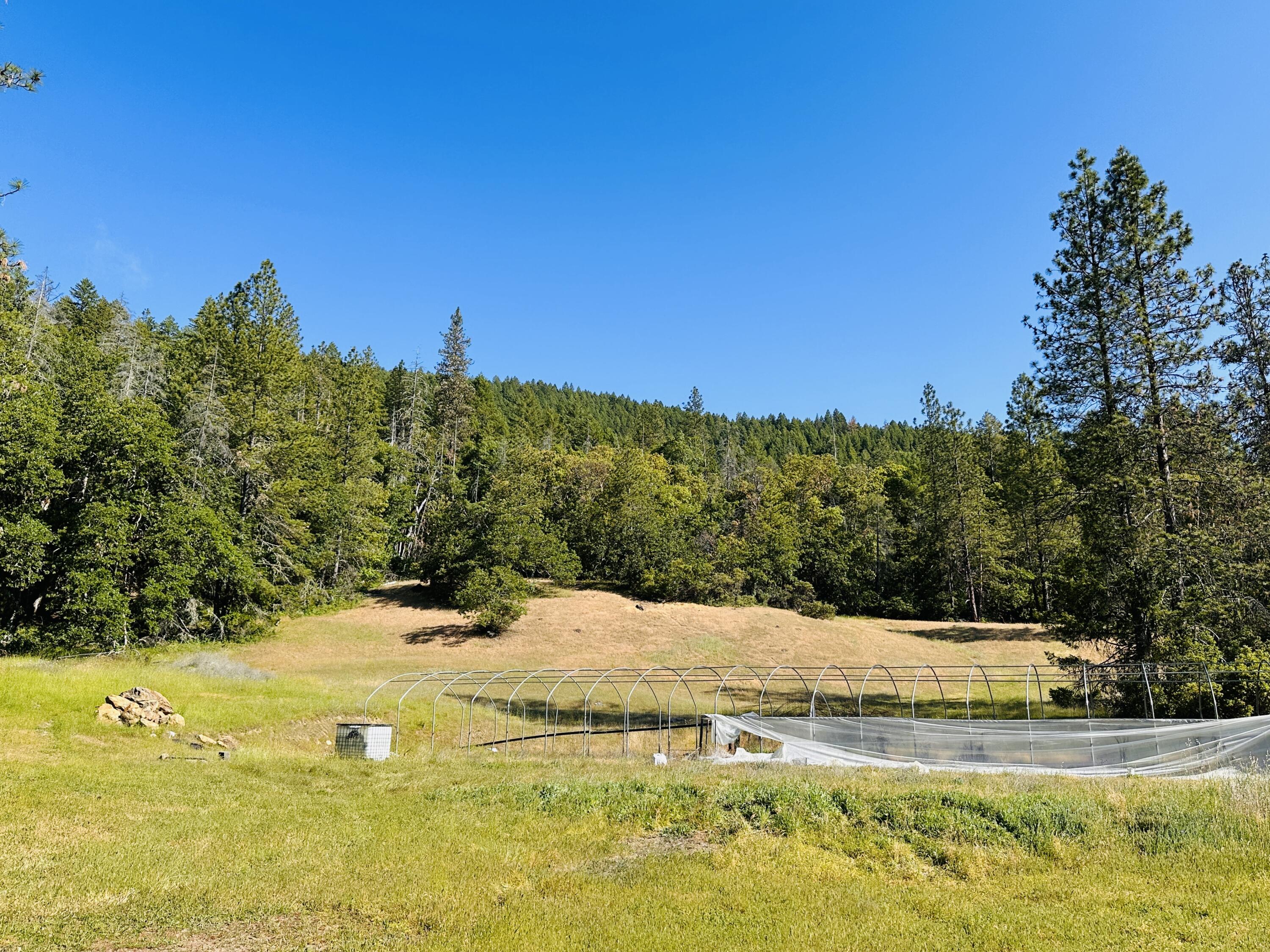 871 Dennis Boulevard Burnt Ranch, CA 95527 - Photo 28 of 47