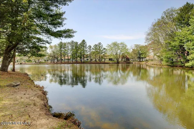 a body of water with a tree in the background