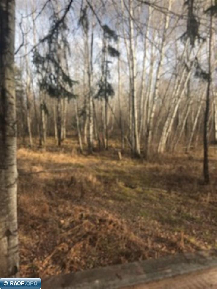 Tbd Mud Hole Road Side Lake, MN 55781 - Photo 16 of 24