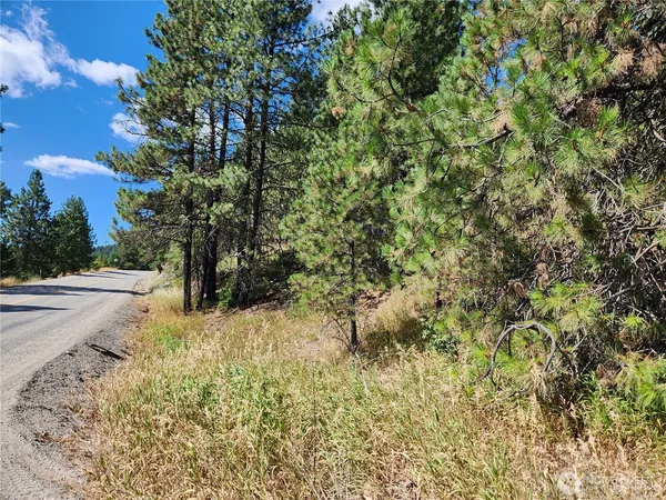 $23,500 | 1 Klondike Road, Republic, WA 99166