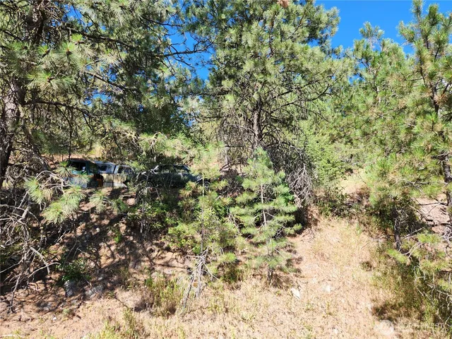 $23,500 | 1 Klondike Road, Republic, WA 99166