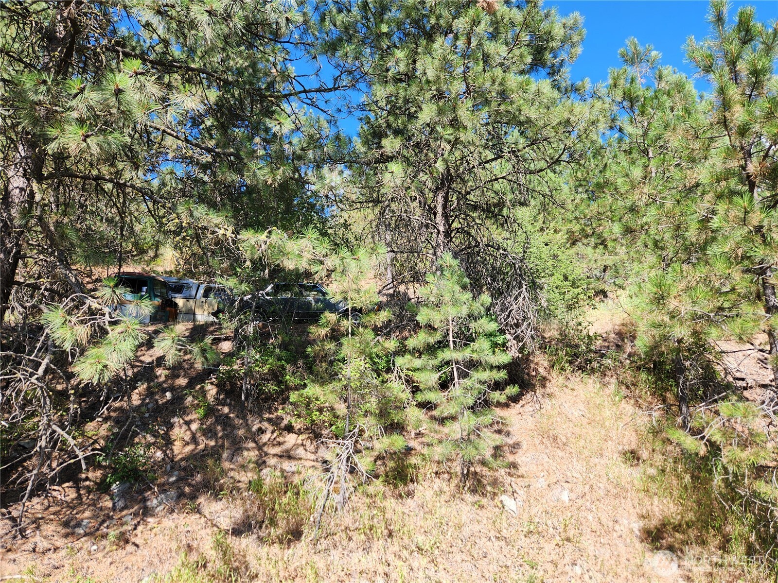 1 Klondike Road Republic, WA 99166 - Photo 2 of 8