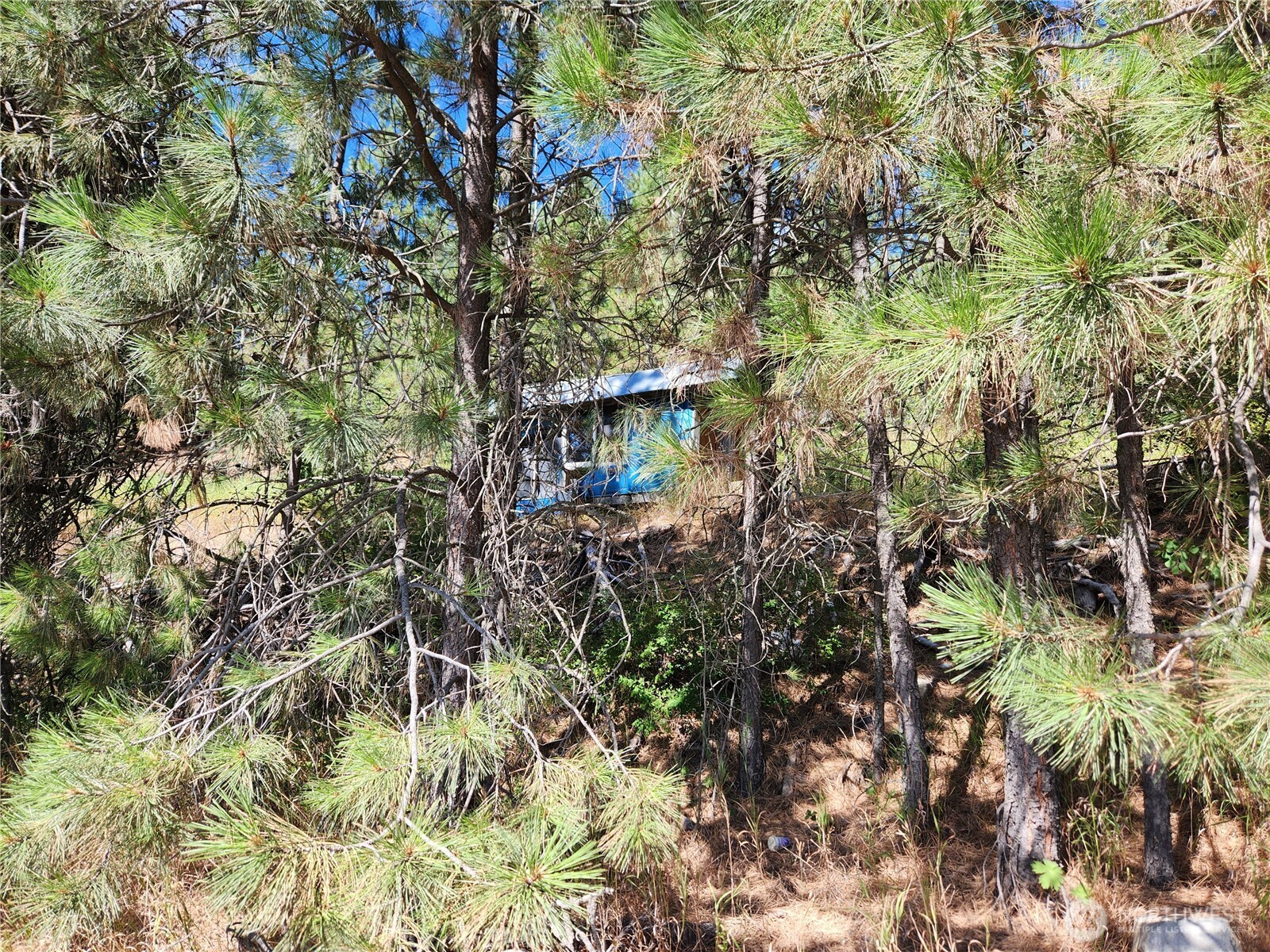 1 Klondike Road Republic, WA 99166 - Photo 3 of 8