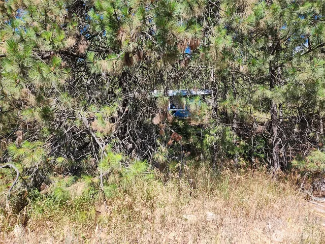 $23,500 | 1 Klondike Road, Republic, WA 99166