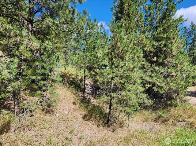 $23,500 | 1 Klondike Road, Republic, WA 99166
