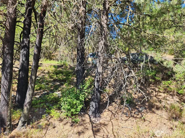 $23,500 | 1 Klondike Road, Republic, WA 99166