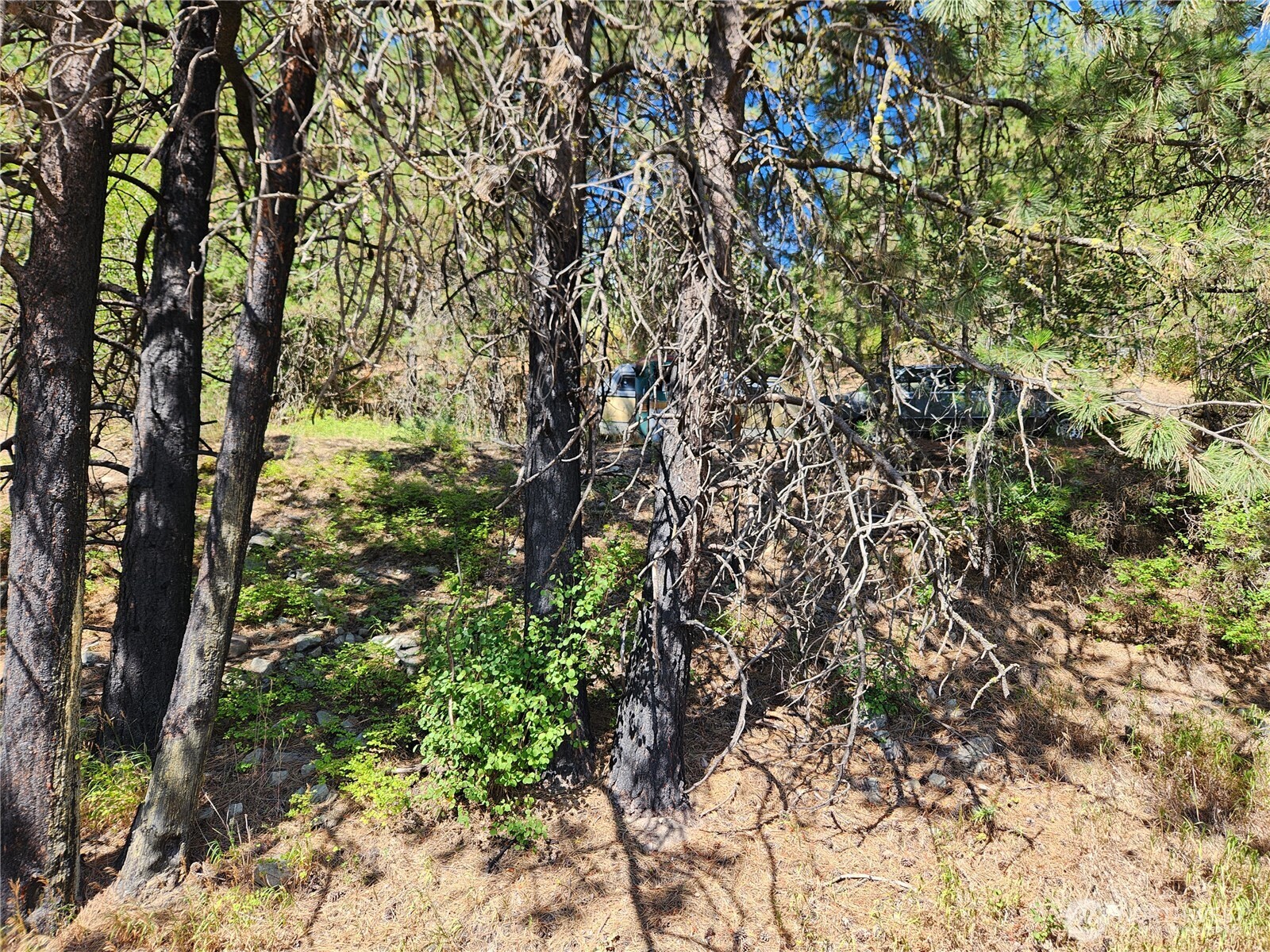 1 Klondike Road Republic, WA 99166 - Photo 8 of 8