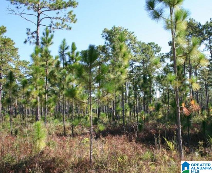 Plant Road, Unit 1 Billingsley, AL 36006 - Photo 1 of 1