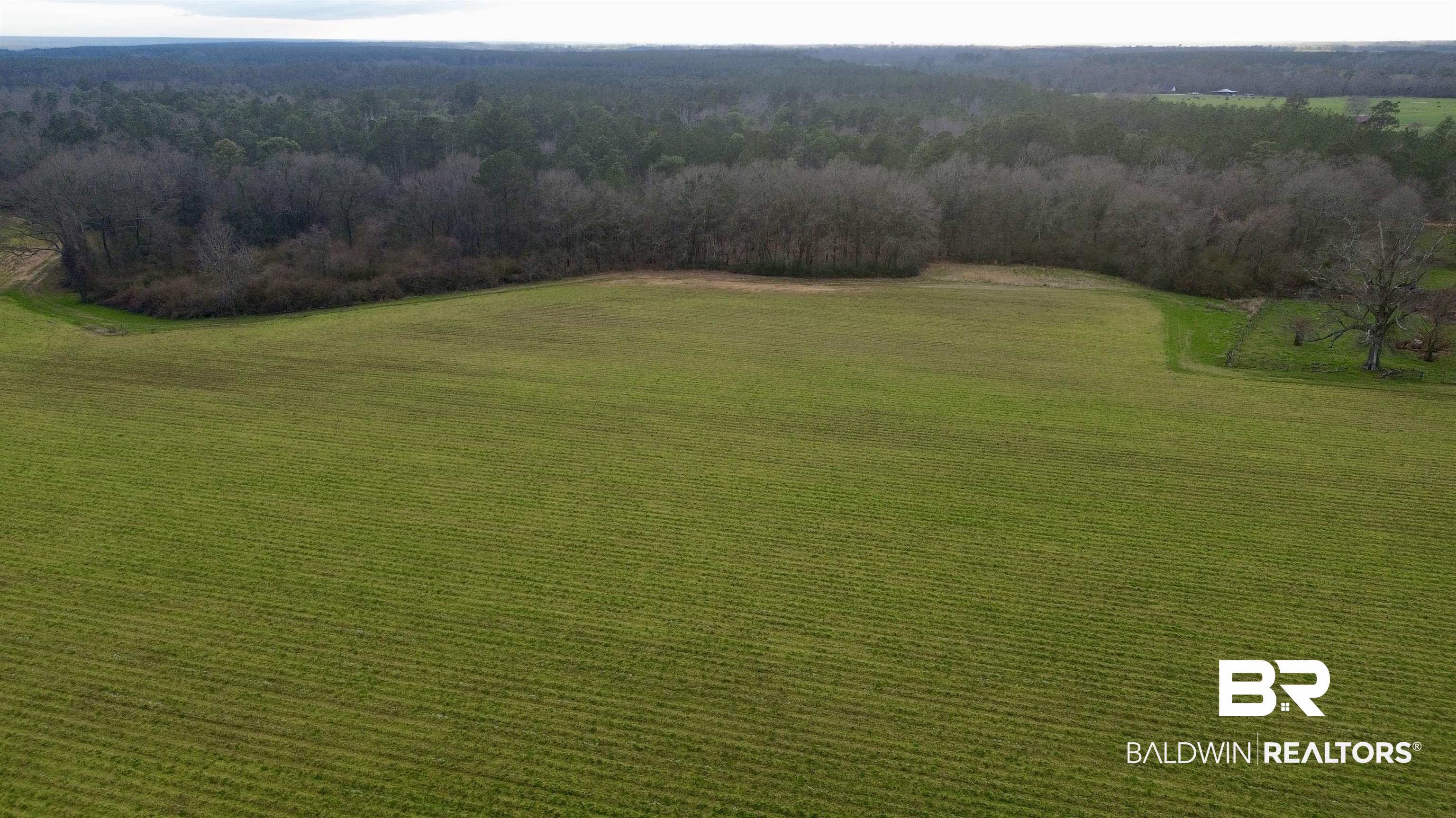 0 James Brooks Road Atmore, AL 36502 - Photo 10 of 16 Aerial view with a rural view