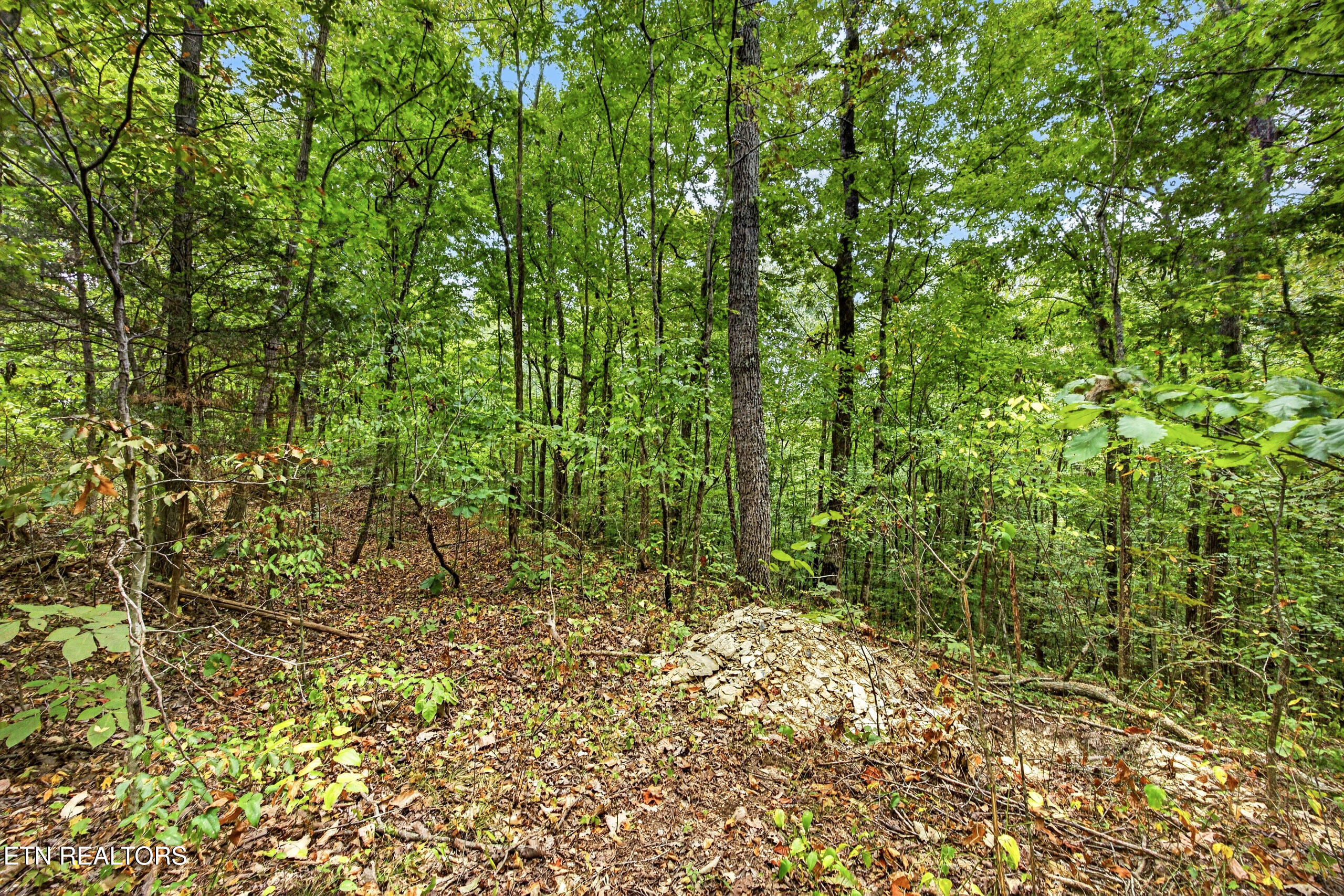 Lot 23 Timber Ridge Lane Celina, TN 38551 - Photo 5 of 12 4-8N5A6501