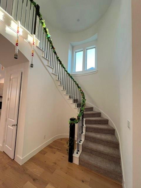 1407 Cartona Road Fate, TX 75087 - Photo 9 of 21 Curved staircase featuring carpeted treads and risers, black metal balusters, and a white handrail