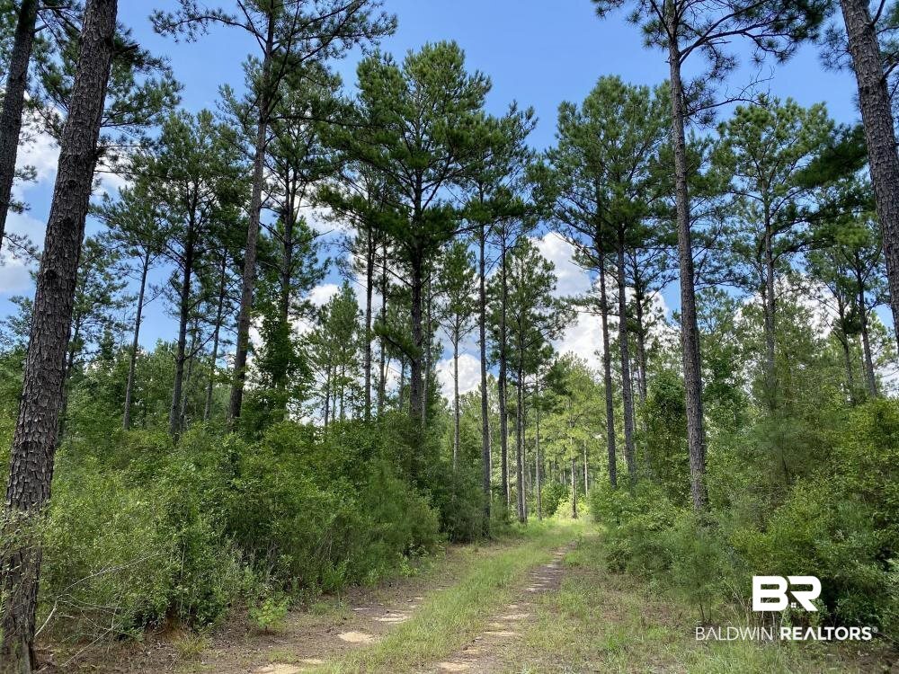 0 Old Ganey Road Stockton, AL 36579 - Photo 34 of 45