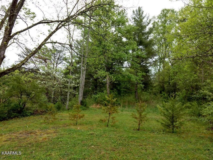 7764 Cedar Creek Road Townsend, TN 37882 - Photo 1 of 4 Gallery Image 1
