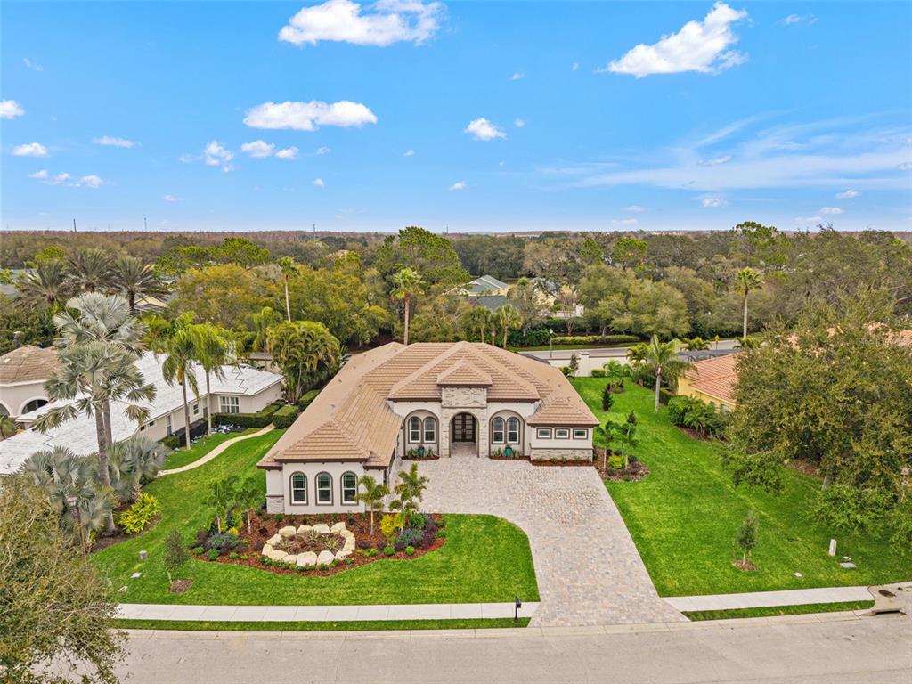 10700 Pontofino Circle Trinity, FL 34655 - Photo 8 of 99 an aerial view of a house with a big yard