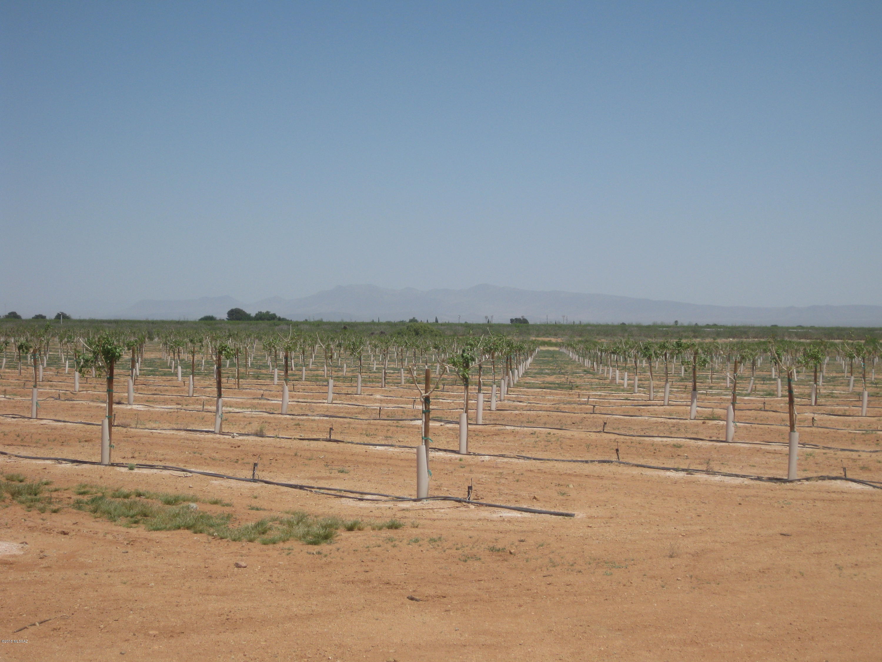 West Roberts Farm Road Bowie, AZ 85605 - Photo 7 of 8