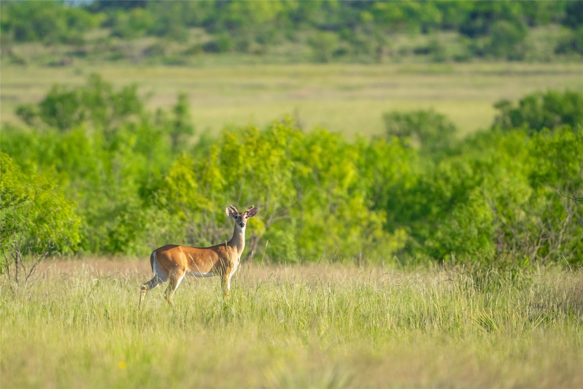 0 County Road 476 Road Rochelle, TX 76872 - Photo 34 of 40 a view of a lake view