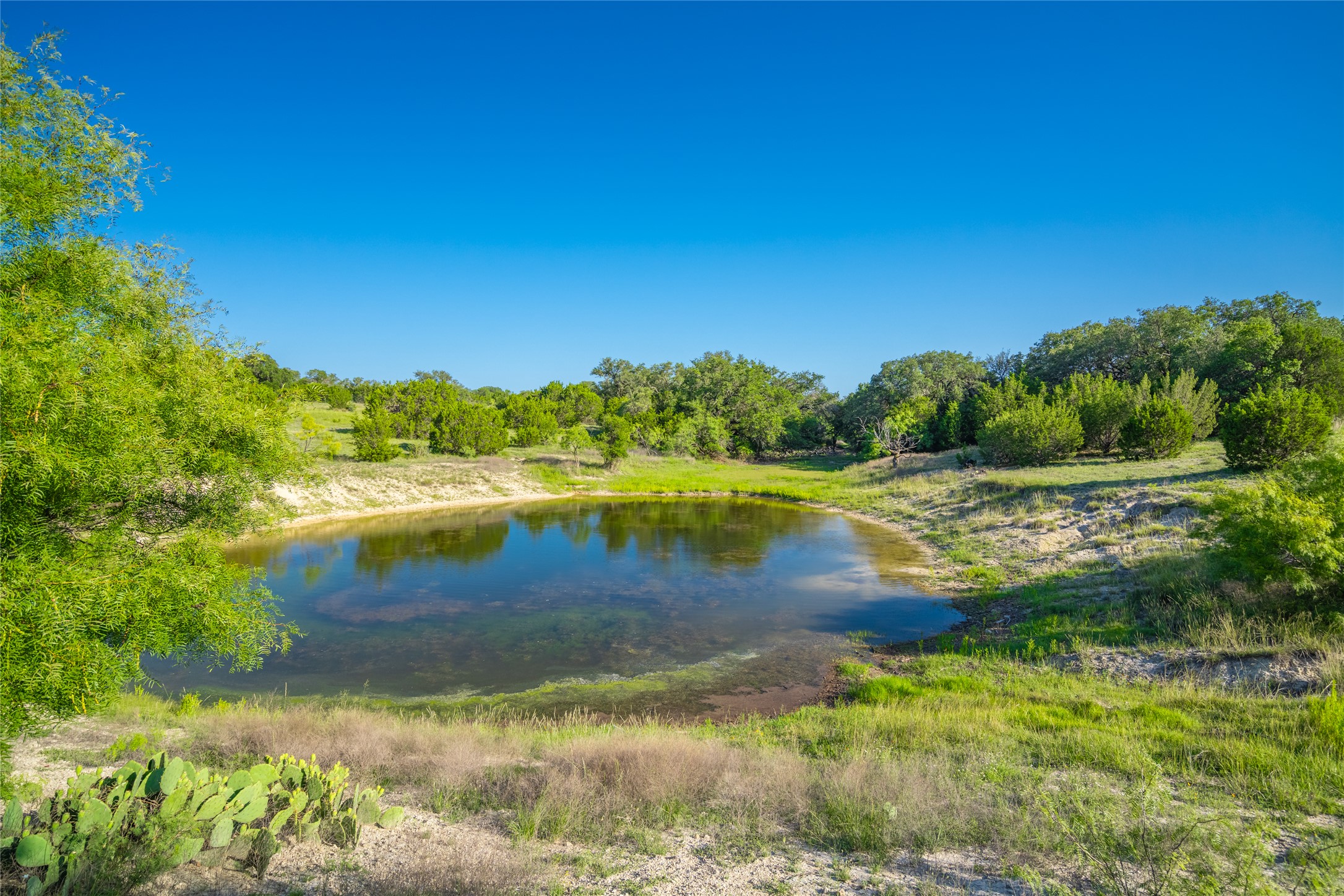 0 County Road 476 Road Rochelle, TX 76872 - Photo 36 of 40 a view of swimming pool with a yard