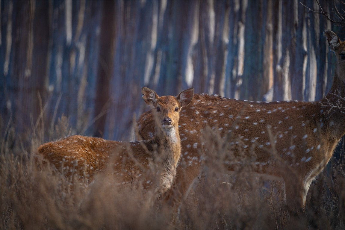 0 County Road 476 Road Rochelle, TX 76872 - Photo 37 of 40