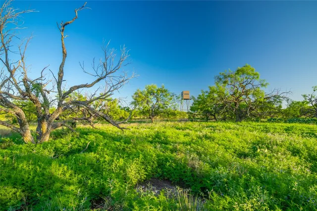 $4,675,000 | 0 County Road 476 Road, Rochelle, TX 76872