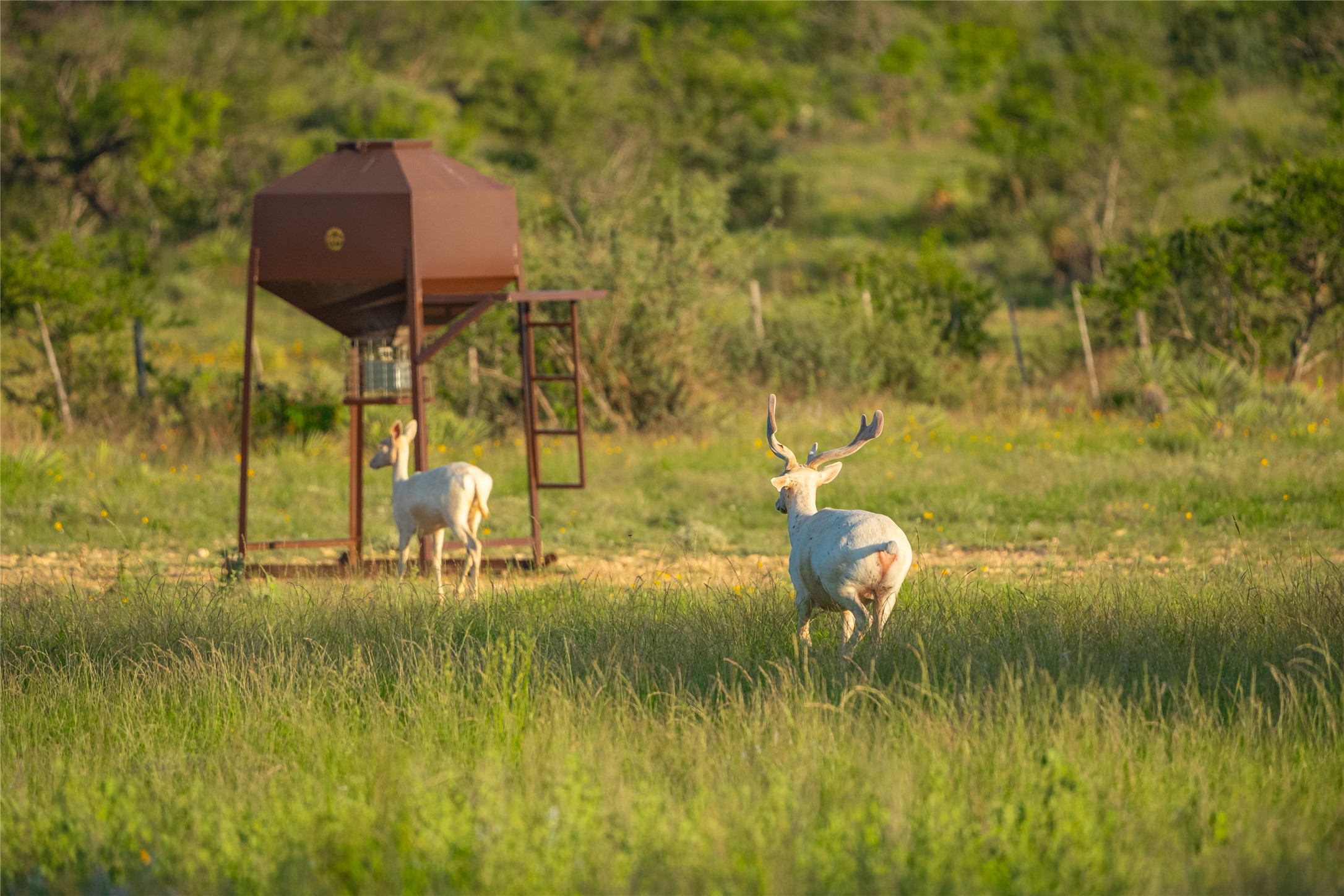0 County Road 476 Road Rochelle, TX 76872 - Photo 39 of 40 a view of a lake view