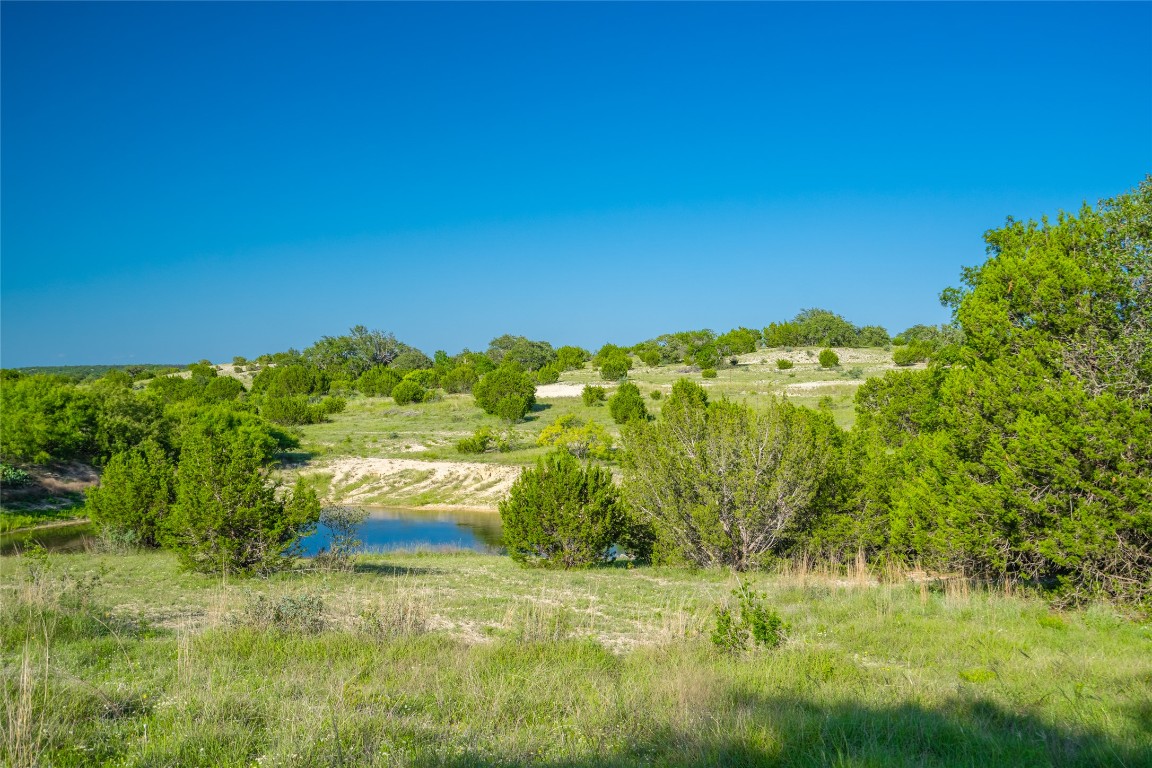 0 County Road 476 Road Rochelle, TX 76872 - Photo 5 of 40 a view of a garden