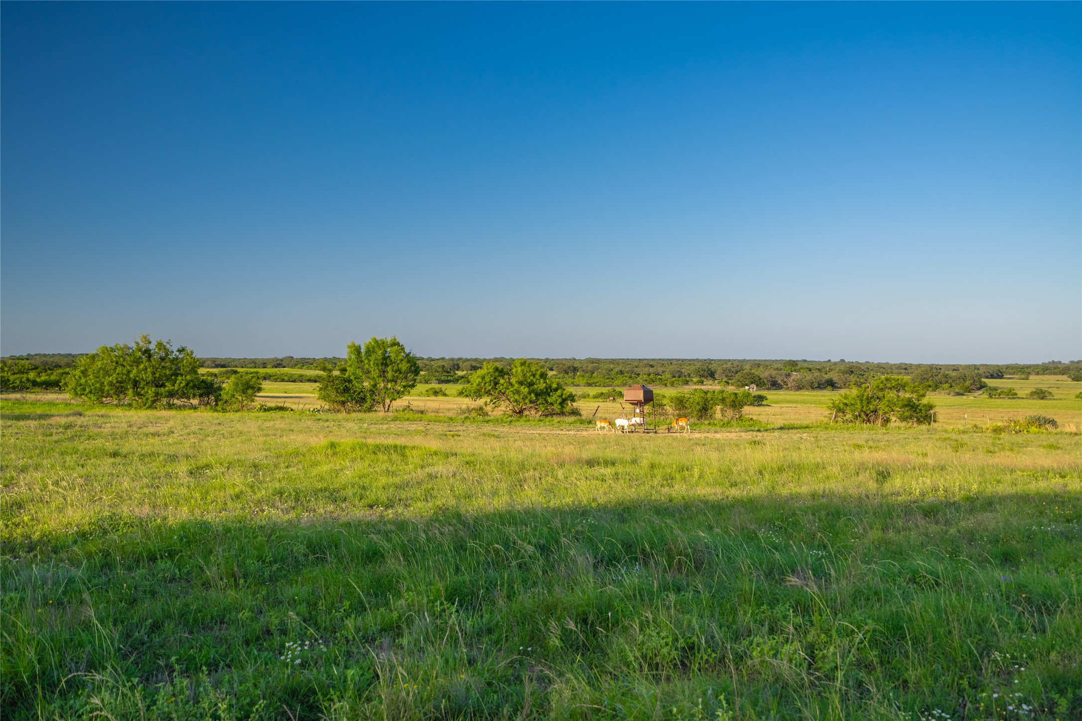 0 County Road 476 Road Rochelle, TX 76872 - Photo 6 of 40 a view of an ocean from a big room