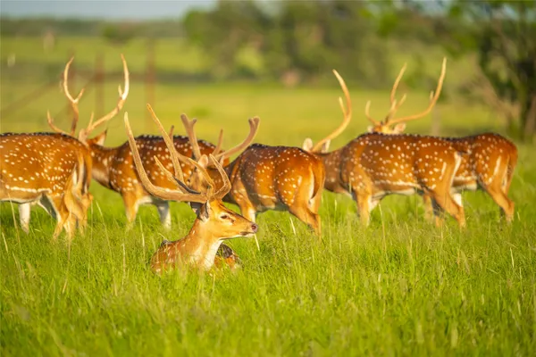 a view of a lake view