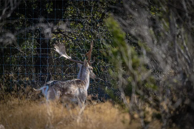 a view of a lake view
