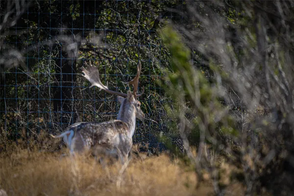 a backyard of a house with lots of green space and wooden fence