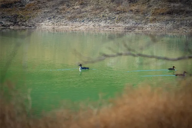 front view of a building with a garden and pathway