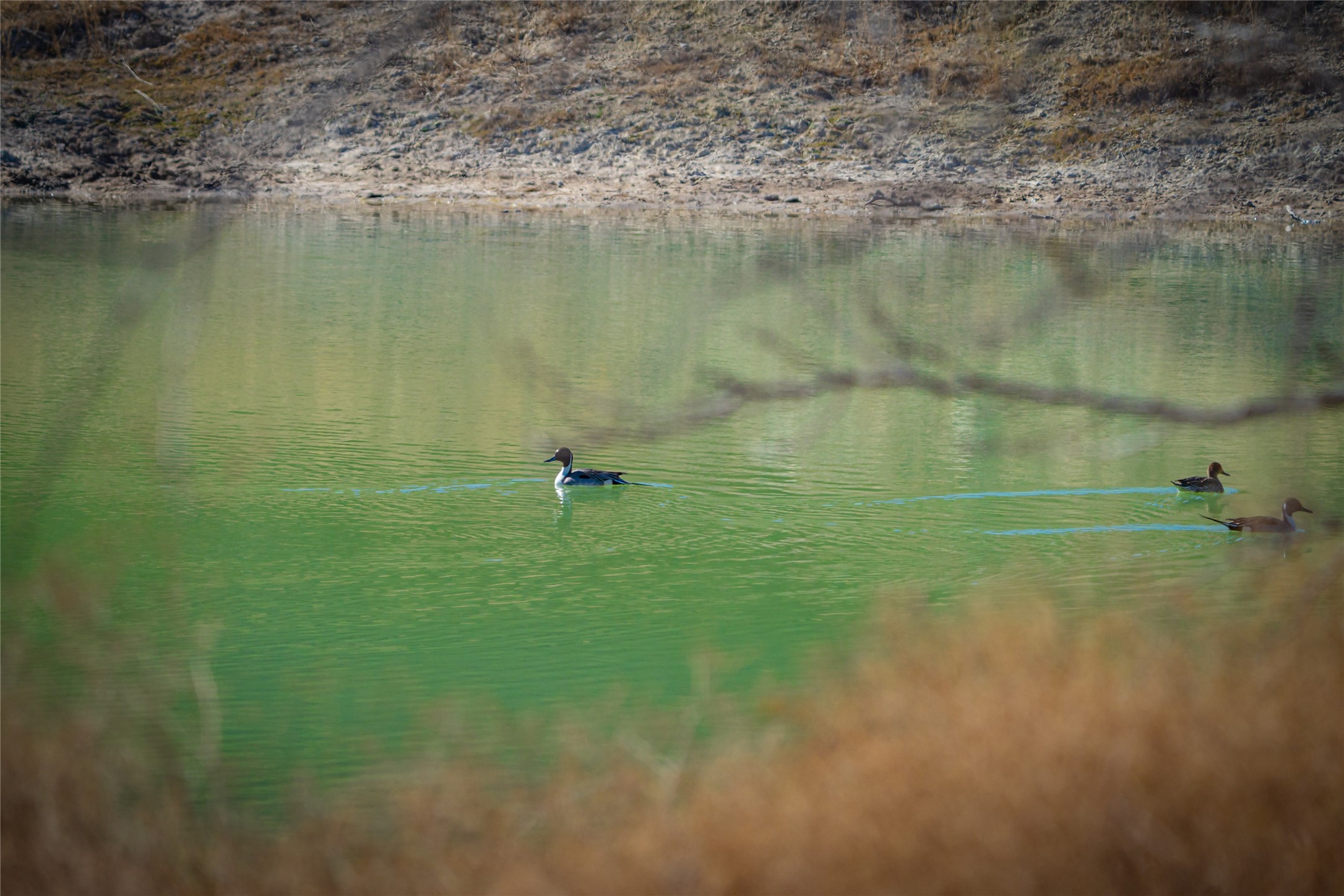 0 County Road 476 Road Rochelle, TX 76872 - Photo 10 of 40 a view of a lake view