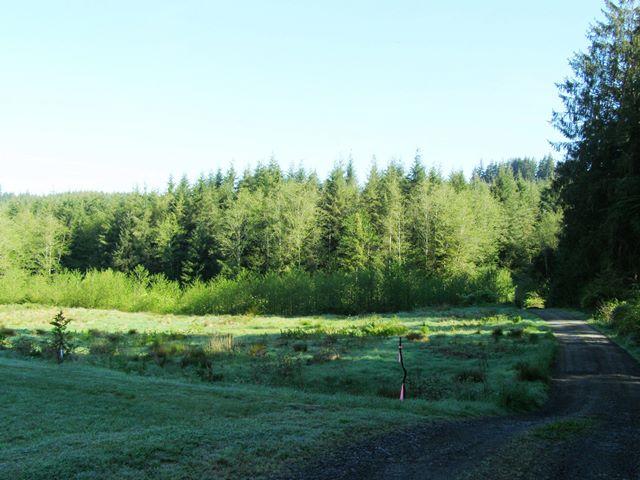 Tl#605 Latimer Road North Tillamook, OR 97141 - Photo 1 of 28 P5021218