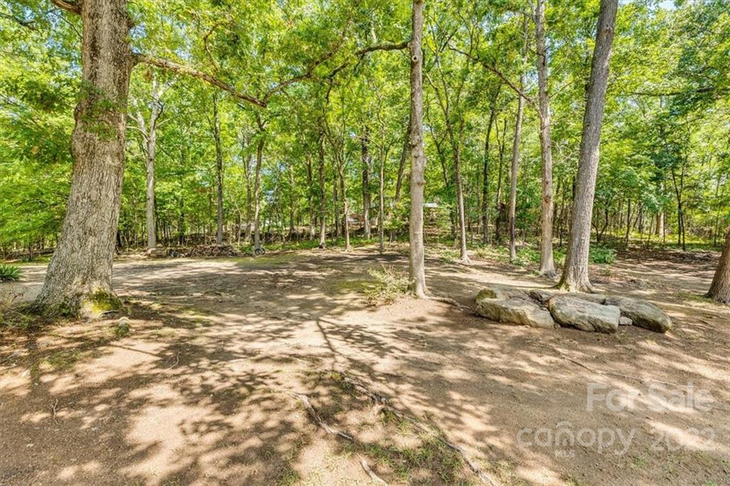 740 North Beersheba Road Clover, SC 29710 - Photo 23 of 46 a backyard of a house with lots of green space and fountain