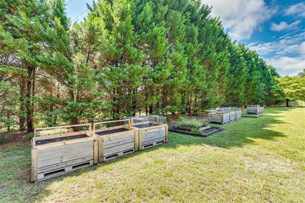 740 North Beersheba Road Clover, SC 29710 - Photo 32 of 46 a view of a backyard with lawn chairs plants and trees