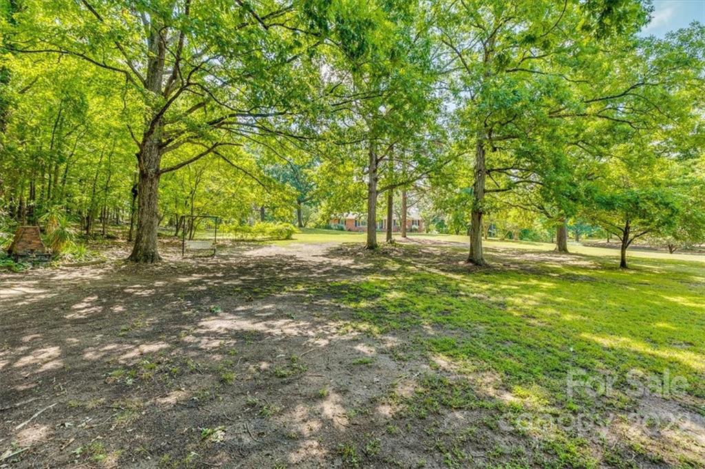 740 North Beersheba Road Clover, SC 29710 - Photo 38 of 46 a view of yard with tree and trees