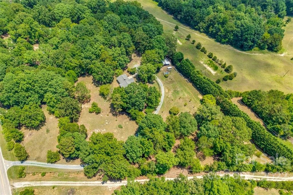 740 North Beersheba Road Clover, SC 29710 - Photo 45 of 46 a view of a yard with plants and large trees