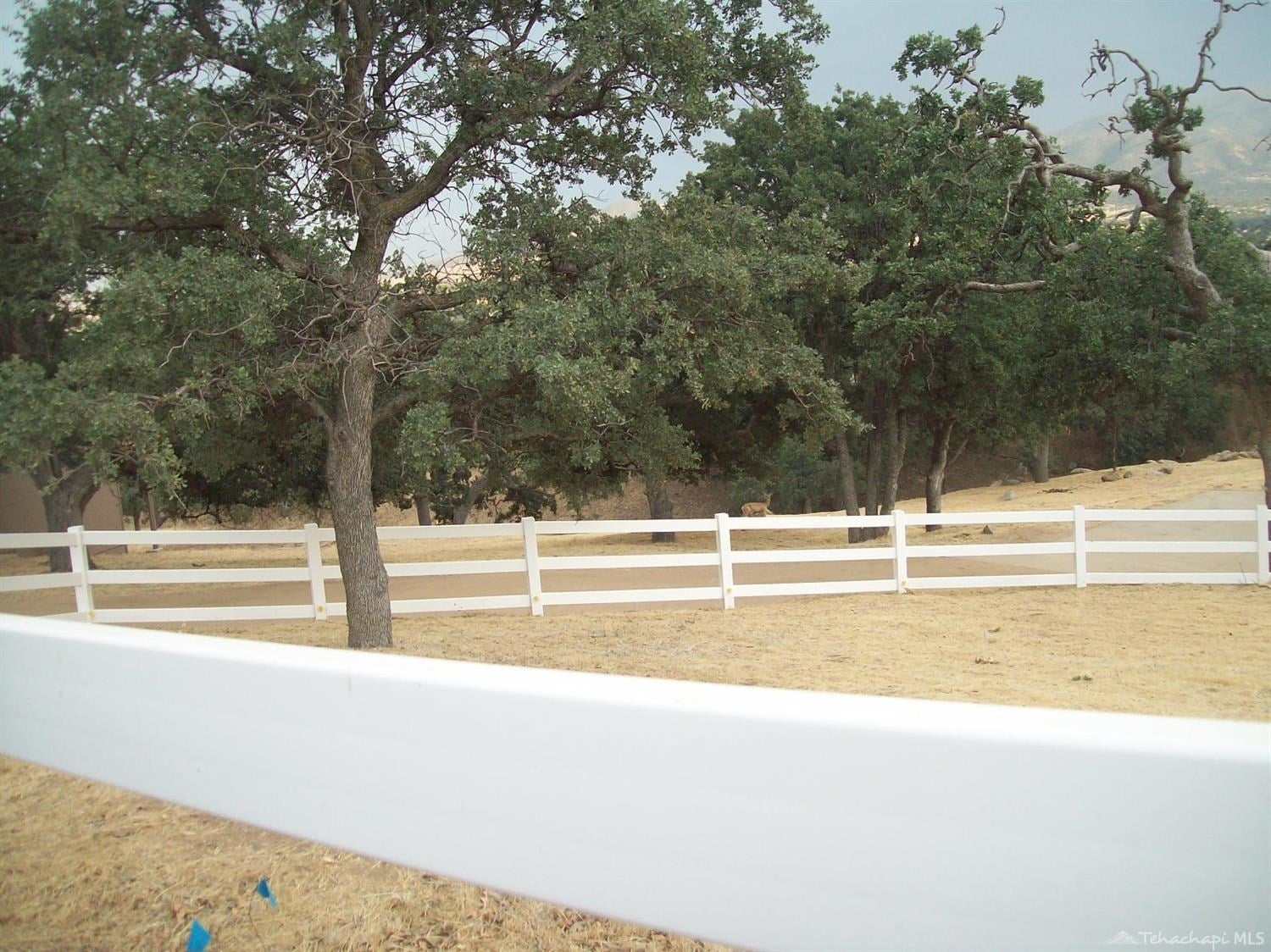 21224 Quail Springs Road Tehachapi, CA 93561 - Photo 4 of 54 Gallery Image 4
