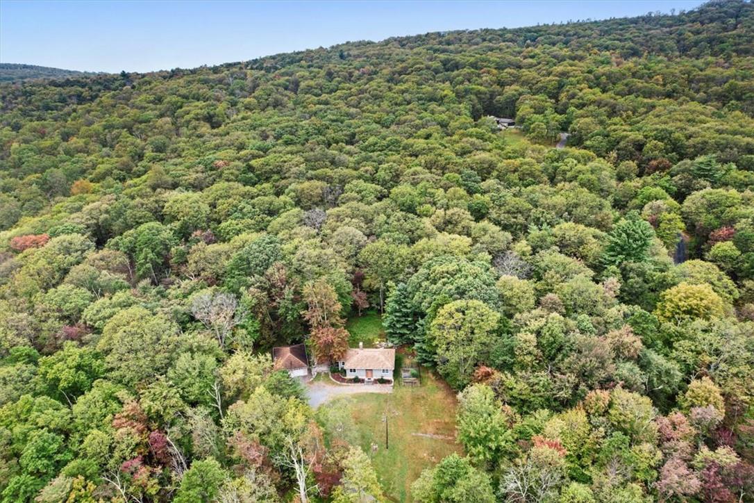 190 Cox Road Pine Bush, NY 12566 - Photo 1 of 1 Bordering 100's of acres of state forest, this property will be your playground.