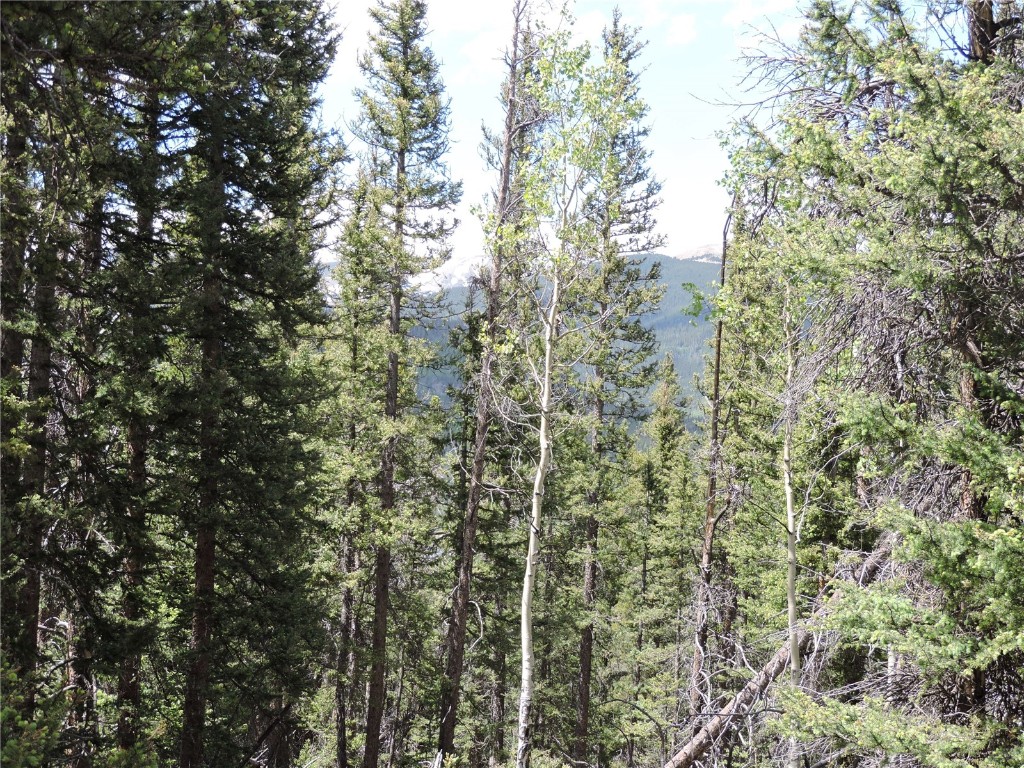 0 Georgia Pass Lookout Road Jefferson, CO 80456 - Photo 1 of 13 view of a yard with a tree