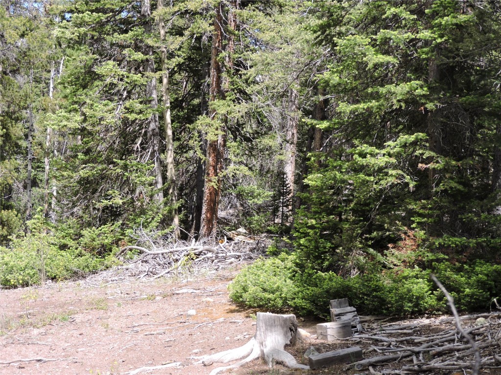 0 Georgia Pass Lookout Road Jefferson, CO 80456 - Photo 2 of 13 a view of a wooden floor and a tree